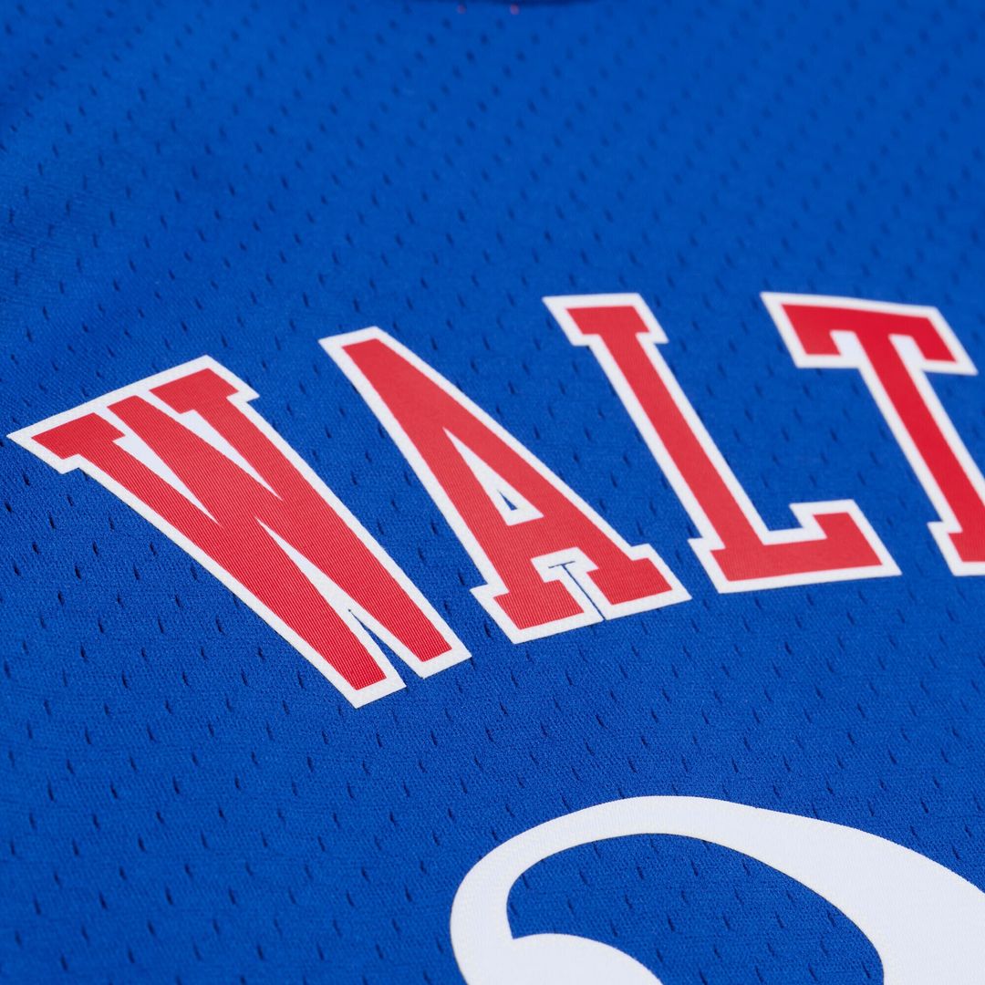 LA Clippers Bill Walton Mitchell & Ness 1984 - 85 Swingman Jersey - Royal