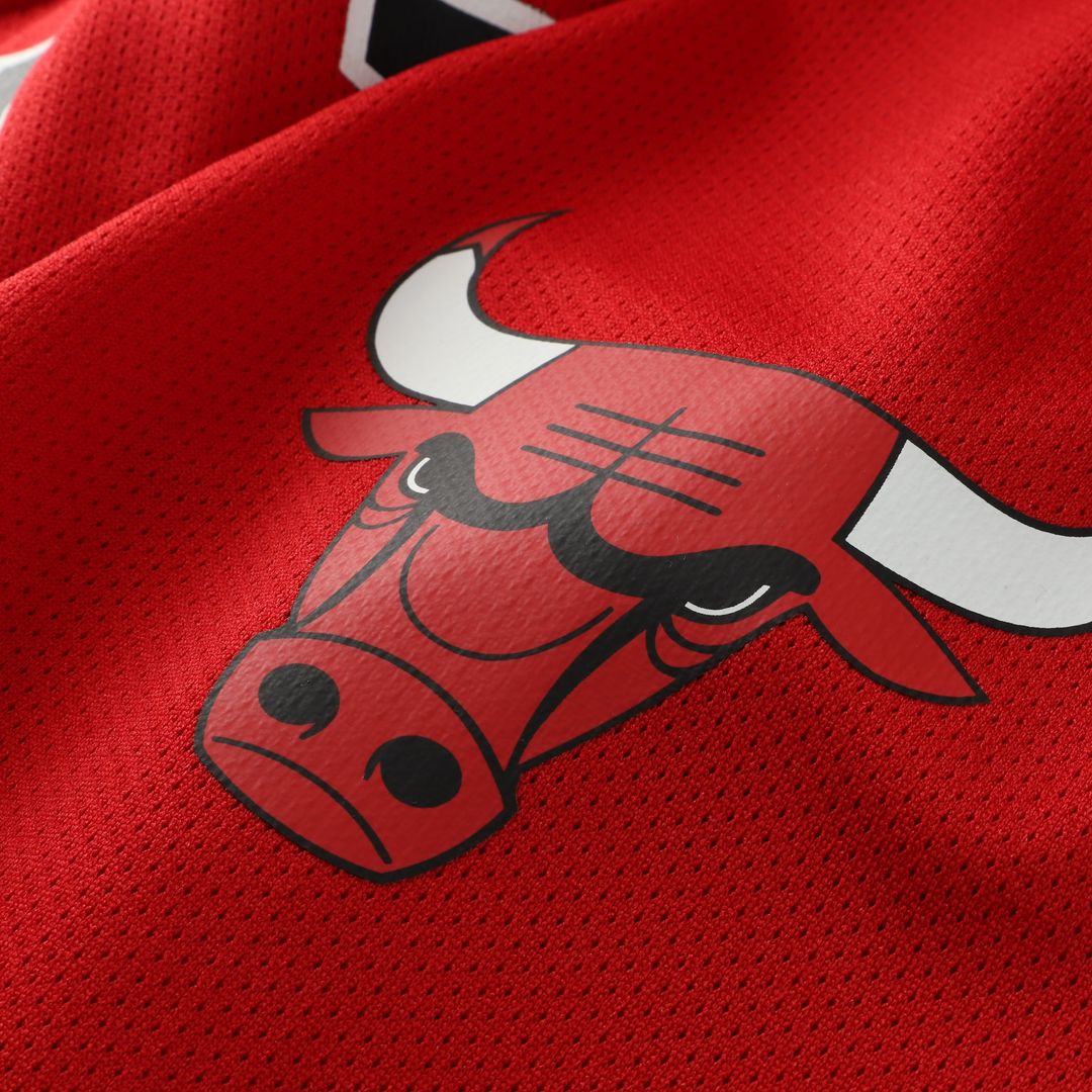 Chicago Bulls Dennis Rodman Mitchell & Ness Big & Tall NBA Hockey Jersey - Red