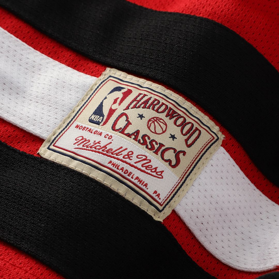 Chicago Bulls Dennis Rodman Mitchell & Ness Big & Tall NBA Hockey Jersey - Red