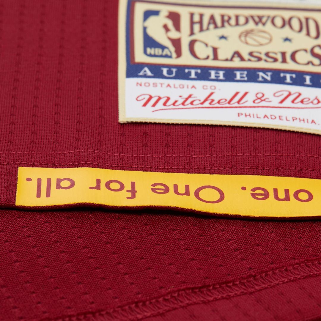 Cleveland Cavaliers LeBron James Mitchell & Ness Hardwood Classics 2015/16 Authentic Jersey - Wine